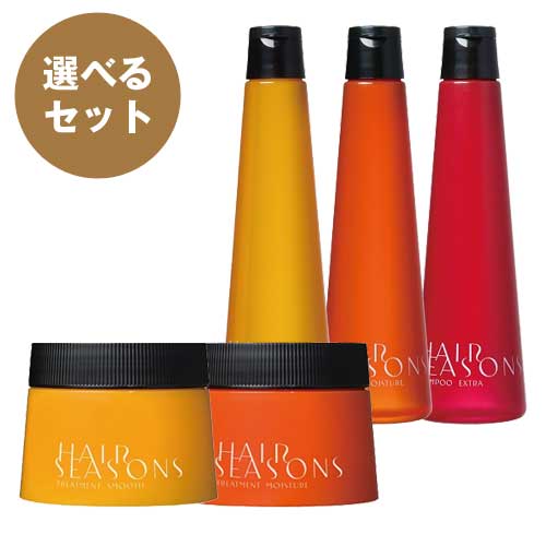 デミ ヘアシーズンズ シャンプー 250ml & トリートメント 250gセット DEMI